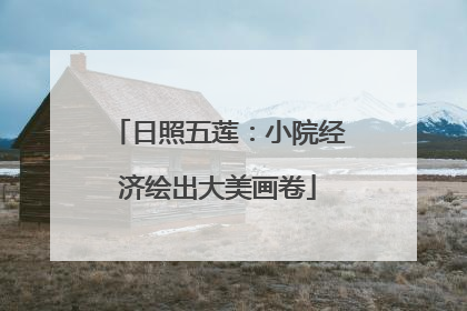 日照五莲：小院经济绘出大美画卷