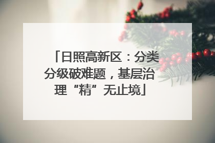 日照高新区：分类分级破难题，基层治理“精”无止境