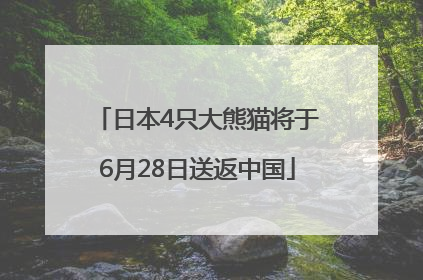 日本4只大熊猫将于6月28日送返中国