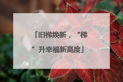 旧梯焕新，“梯”升幸福新高度
