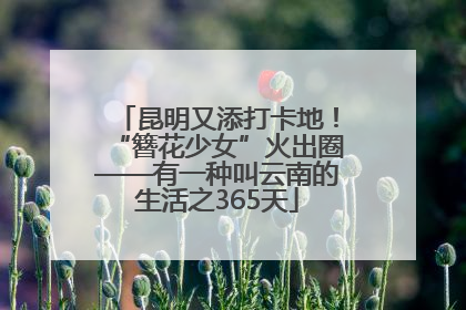 昆明又添打卡地！“簪花少女”火出圈——有一种叫云南的生活之365天