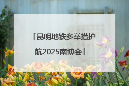昆明地铁多举措护航2025南博会