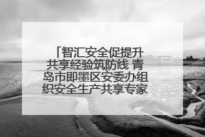 智汇安全促提升 共享经验筑防线 青岛市即墨区安委办组织安全生产共享专家现场观摩学习活动
