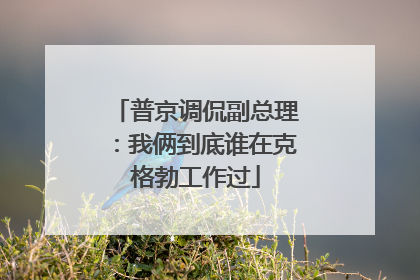 普京调侃副总理：我俩到底谁在克格勃工作过