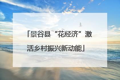 景谷县“花经济”激活乡村振兴新动能
