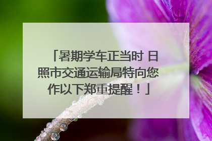 暑期学车正当时 日照市交通运输局特向您作以下郑重提醒！