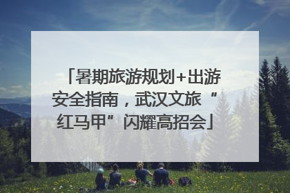 暑期旅游规划+出游安全指南，武汉文旅“红马甲”闪耀高招会