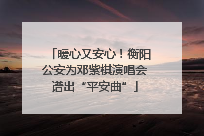 暖心又安心！衡阳公安为邓紫棋演唱会谱出“平安曲”