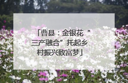 曹县：金银花“三产融合”托起乡村振兴致富梦