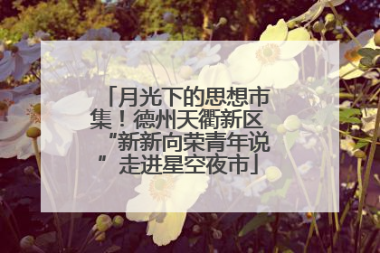 月光下的思想市集！德州天衢新区“新新向荣青年说”走进星空夜市