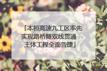本桓高速九工区率先实现路桥隧双线贯通 主体工程全面告捷