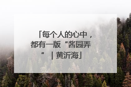 每个人的心中，都有一版“酱园弄”｜黄沂海