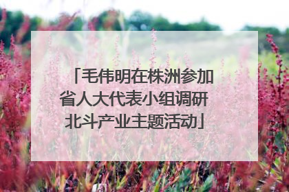 毛伟明在株洲参加省人大代表小组调研北斗产业主题活动