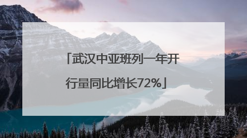 武汉中亚班列一年开行量同比增长72%