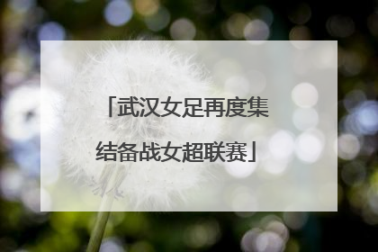 武汉女足再度集结备战女超联赛
