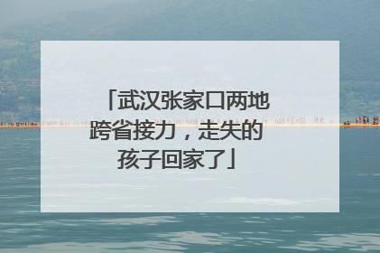 武汉张家口两地跨省接力，走失的孩子回家了