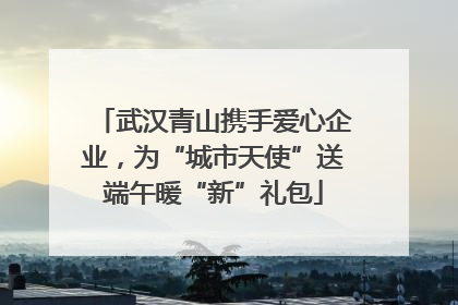 武汉青山携手爱心企业，为“城市天使”送端午暖“新”礼包
