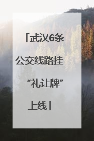 武汉6条公交线路挂“礼让牌”上线