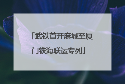 武铁首开麻城至厦门铁海联运专列