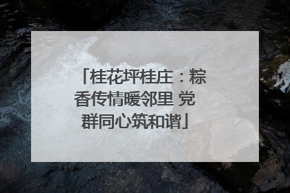 桂花坪桂庄：粽香传情暖邻里 党群同心筑和谐