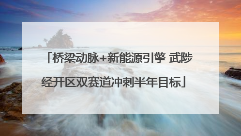 桥梁动脉+新能源引擎 武陟经开区双赛道冲刺半年目标