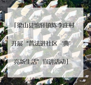 梁山县馆驿镇陈李庄村开展“普法进社区‘典’亮新生活”宣讲活动