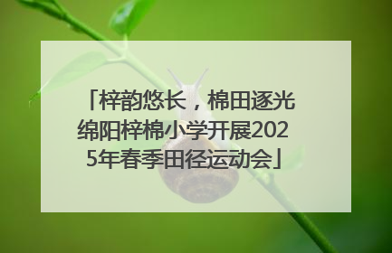 梓韵悠长，棉田逐光 绵阳梓棉小学开展2025年春季田径运动会