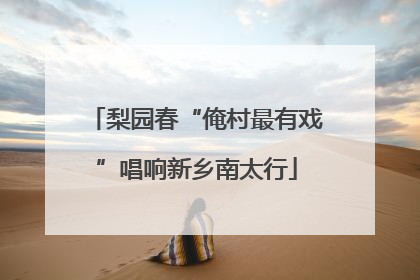 梨园春“俺村最有戏”唱响新乡南太行
