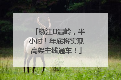 椒江⇌温岭，半小时！年底将实现高架主线通车！