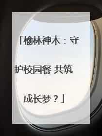 榆林神木：守护校园餐 共筑成长梦？