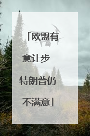 欧盟有意让步 特朗普仍不满意