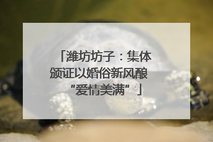 潍坊坊子：集体颁证以婚俗新风酿“爱情美满”