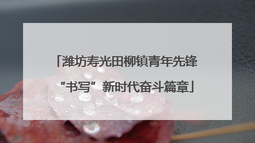 潍坊寿光田柳镇青年先锋“书写”新时代奋斗篇章