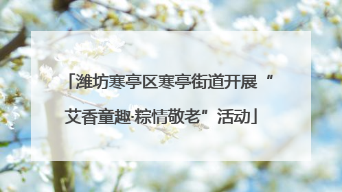 潍坊寒亭区寒亭街道开展“艾香童趣·粽情敬老”活动