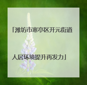 潍坊市寒亭区开元街道人居环境提升再发力