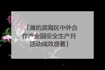 潍坊滨海区中外合作产业园安全生产月活动成效显著