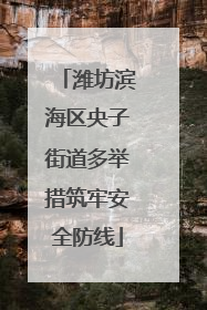 潍坊滨海区央子街道多举措筑牢安全防线