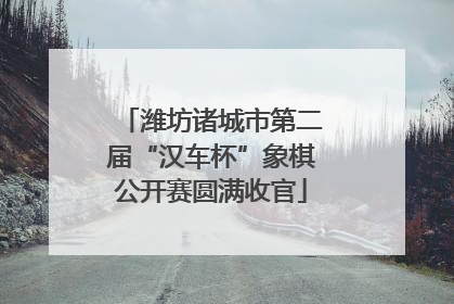 潍坊诸城市第二届“汉车杯”象棋公开赛圆满收官