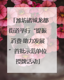潍坊诸城龙都街道举行“提振消费·助力发展”首批示范单位授牌活动