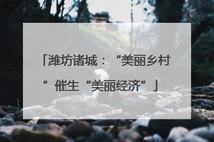潍坊诸城：“美丽乡村”催生“美丽经济”