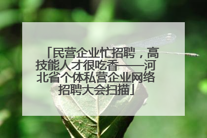 民营企业忙招聘，高技能人才很吃香——河北省个体私营企业网络招聘大会扫描