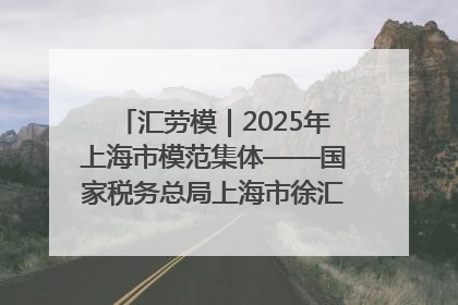 汇劳模｜2025年上海市模范集体——国家税务总局上海市徐汇区税务局第一税务所