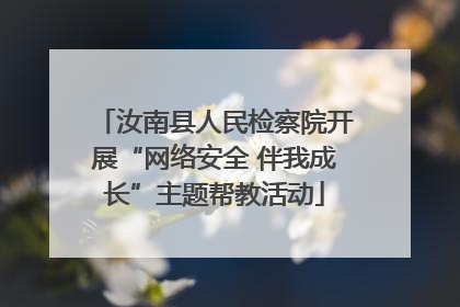 汝南县人民检察院开展“网络安全 伴我成长”主题帮教活动