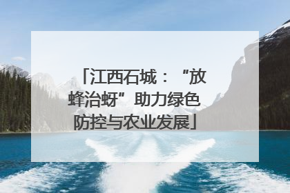 江西石城：“放蜂治蚜”助力绿色防控与农业发展