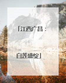 江西广昌：白莲盛绽