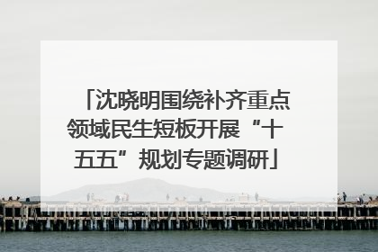 沈晓明围绕补齐重点领域民生短板开展“十五五”规划专题调研