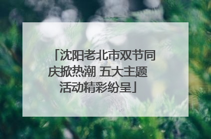 沈阳老北市双节同庆掀热潮 五大主题活动精彩纷呈