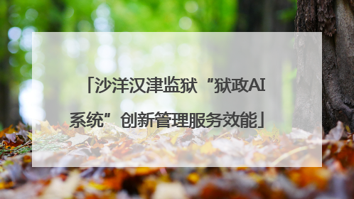 沙洋汉津监狱“狱政AI系统”创新管理服务效能