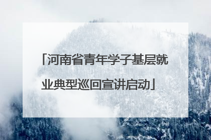 河南省青年学子基层就业典型巡回宣讲启动