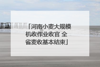 河南小麦大规模机收作业收官 全省麦收基本结束